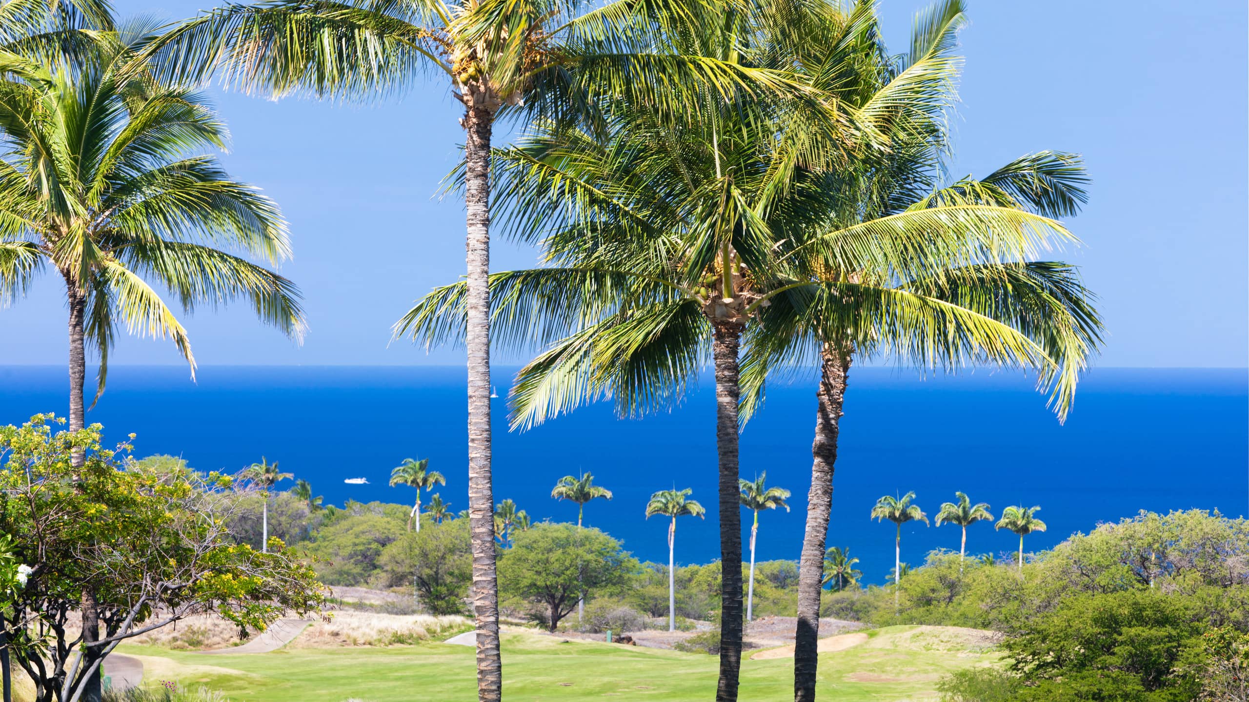 Condo in Waimea · ★4.93 · 3 bedrooms · 5 beds · 3 baths - Image 66