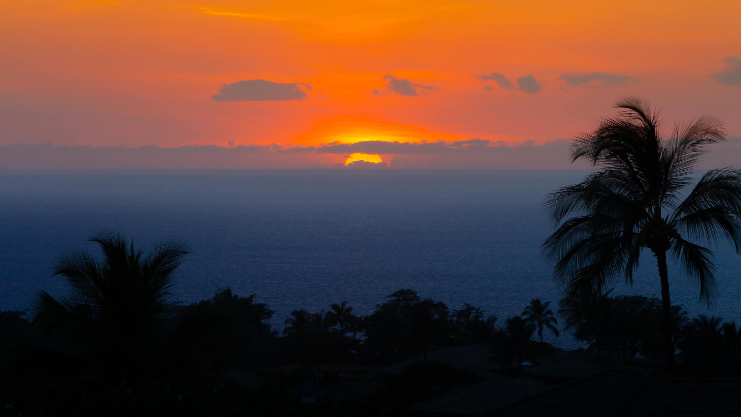 Condo in Waimea · ★4.93 · 3 bedrooms · 5 beds · 3 baths - Image 69