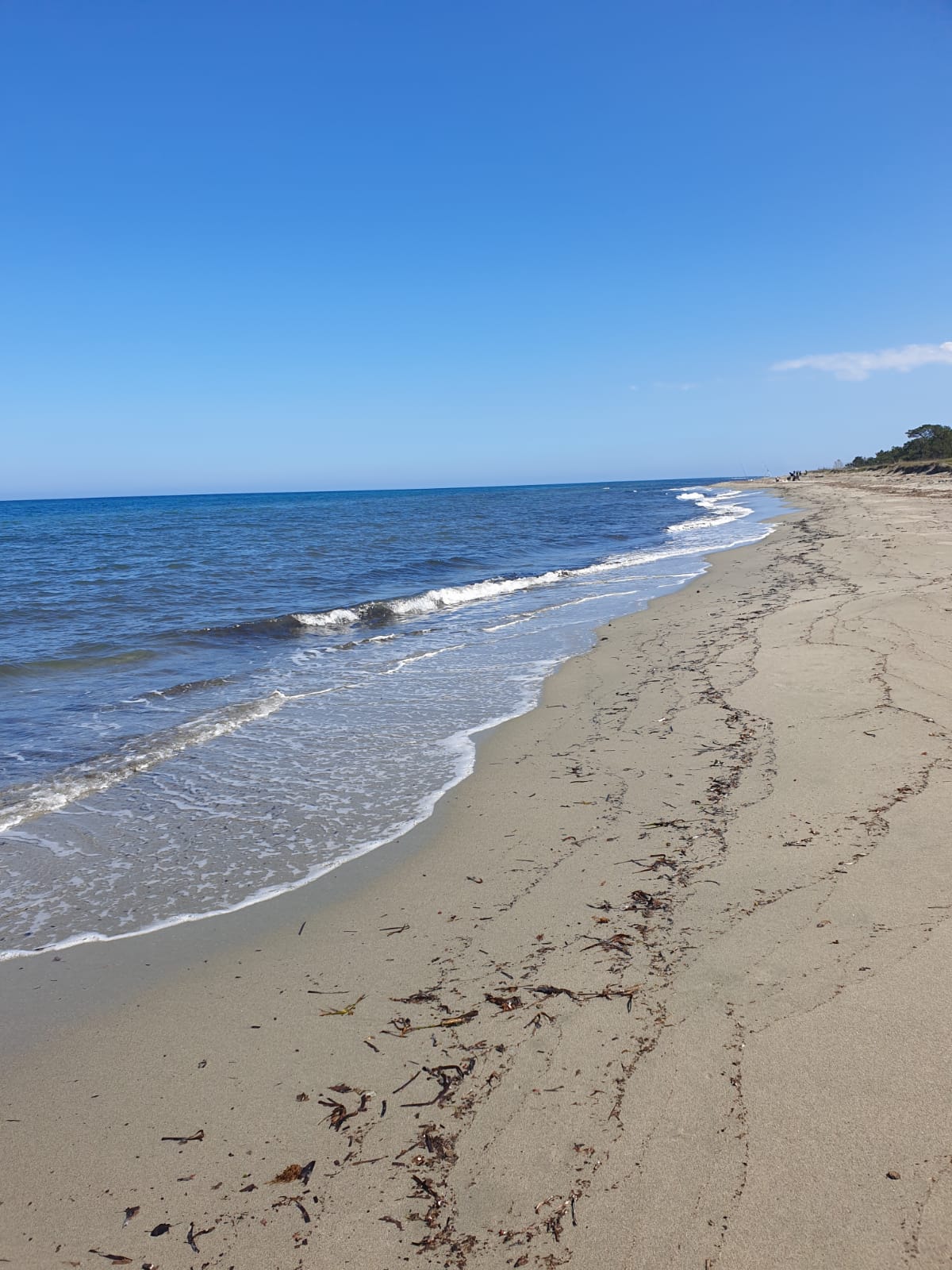 A sandy beach stretches along the shoreline, meeting gentle waves lapping at the edge. The clear blue sky contrasts with the water, creating a serene coastal landscape. Small patches of seaweed are visible along the shore, adding texture to the sandy expanse.