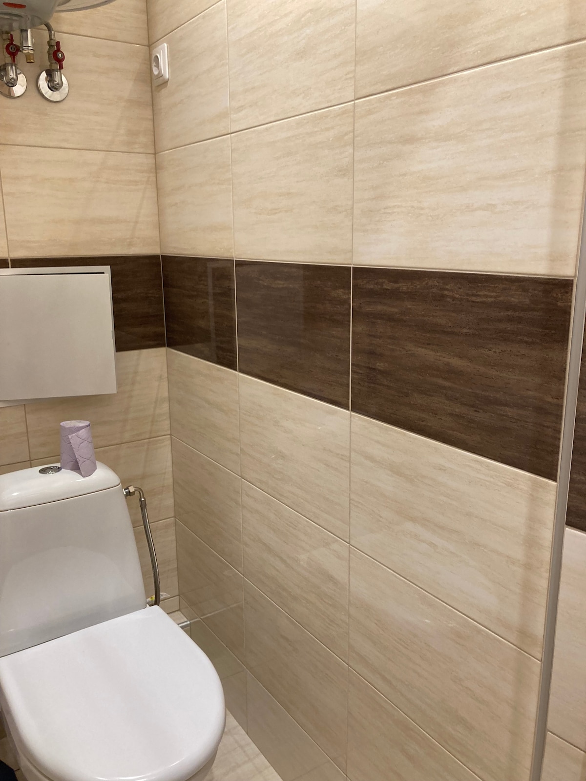 A modern bathroom features a clean white toilet and a combination of light beige and dark brown tiled walls. A small purple item is placed on a shelf above the toilet. Natural light enhances the neutral color palette.