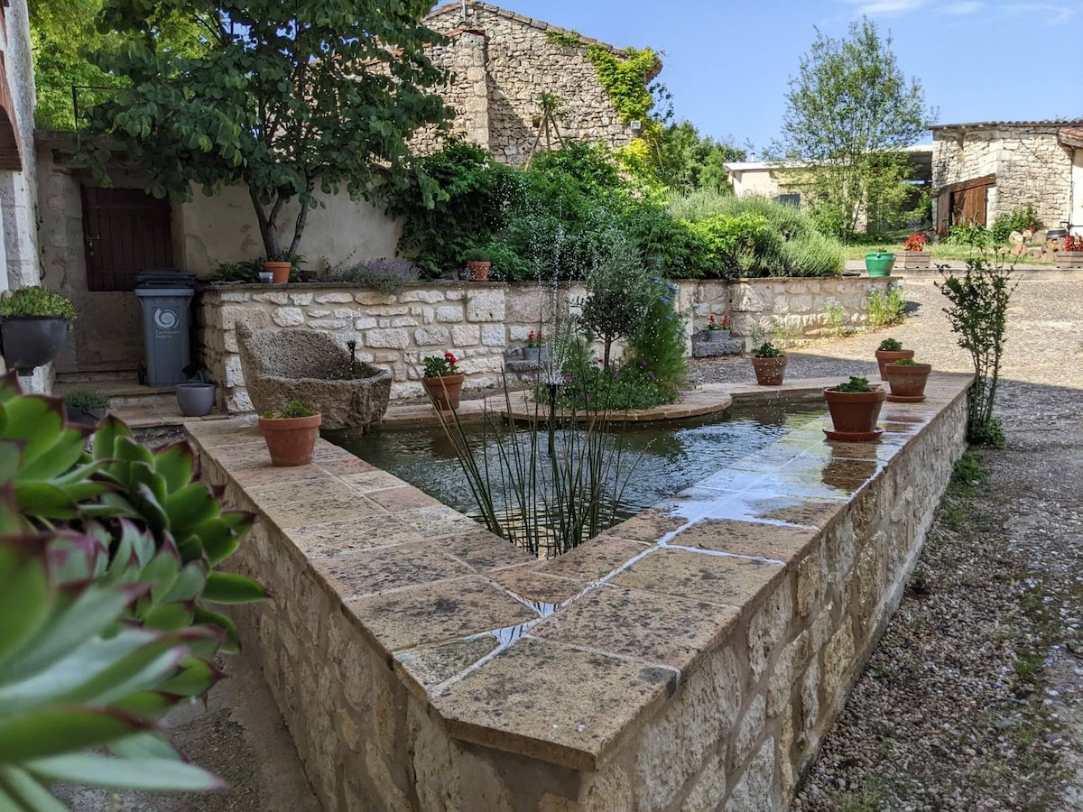 A stone-bordered garden features a serene pond surrounded by various potted plants. Lush greenery is seen in the background, with the structure of the surrounding buildings forming a rustic backdrop. Sunlight illuminates the scene, creating a peaceful outdoor atmosphere.