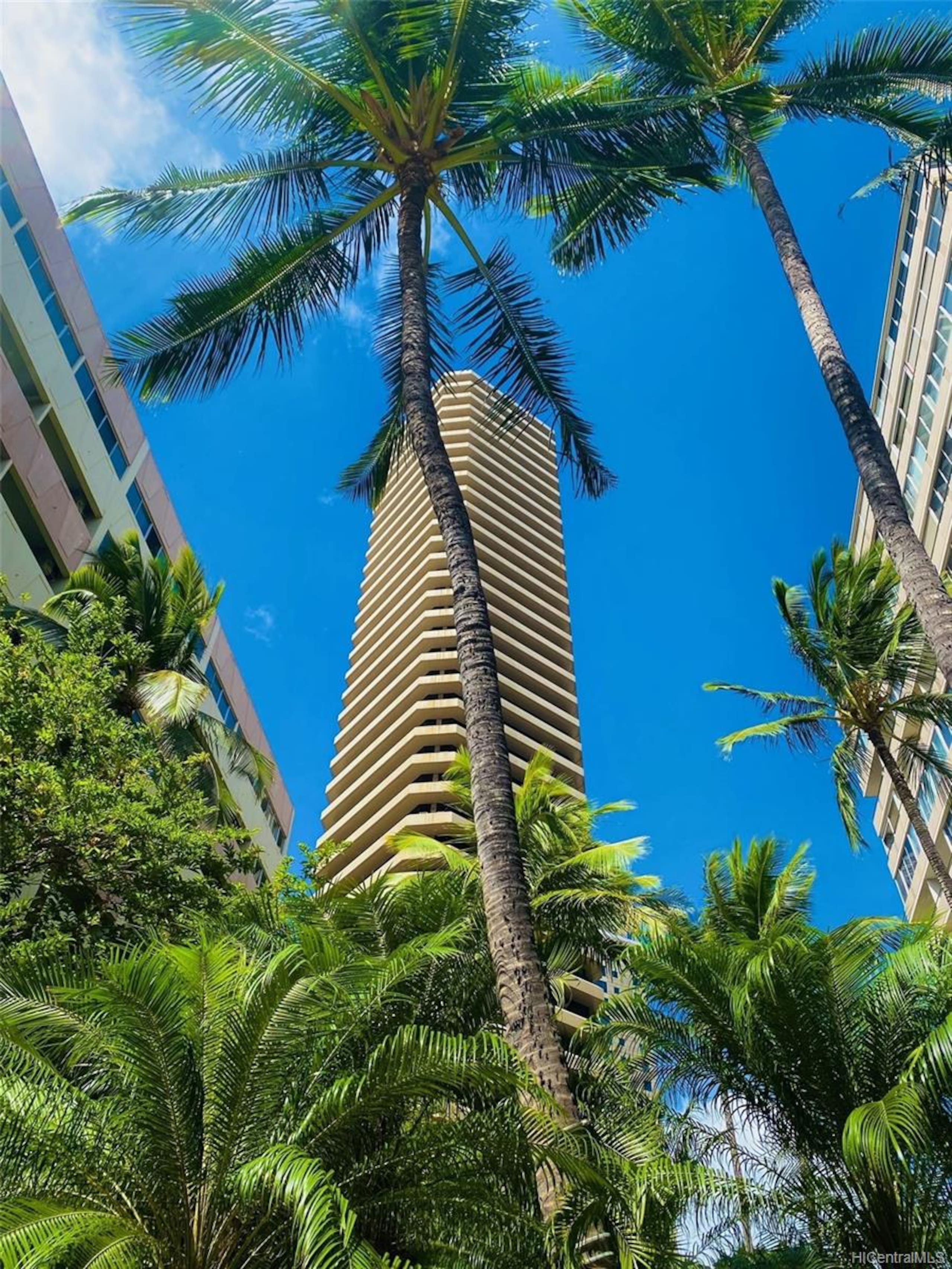 Condo in Honolulu · ★4.42 · Studio · 1 bed · 1 private bath - Image 12