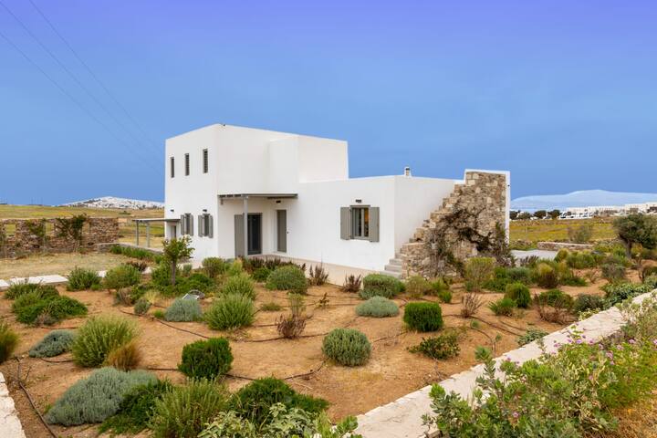 Villa Cactilia Punda Paros for 8 with private pool gallery image 3