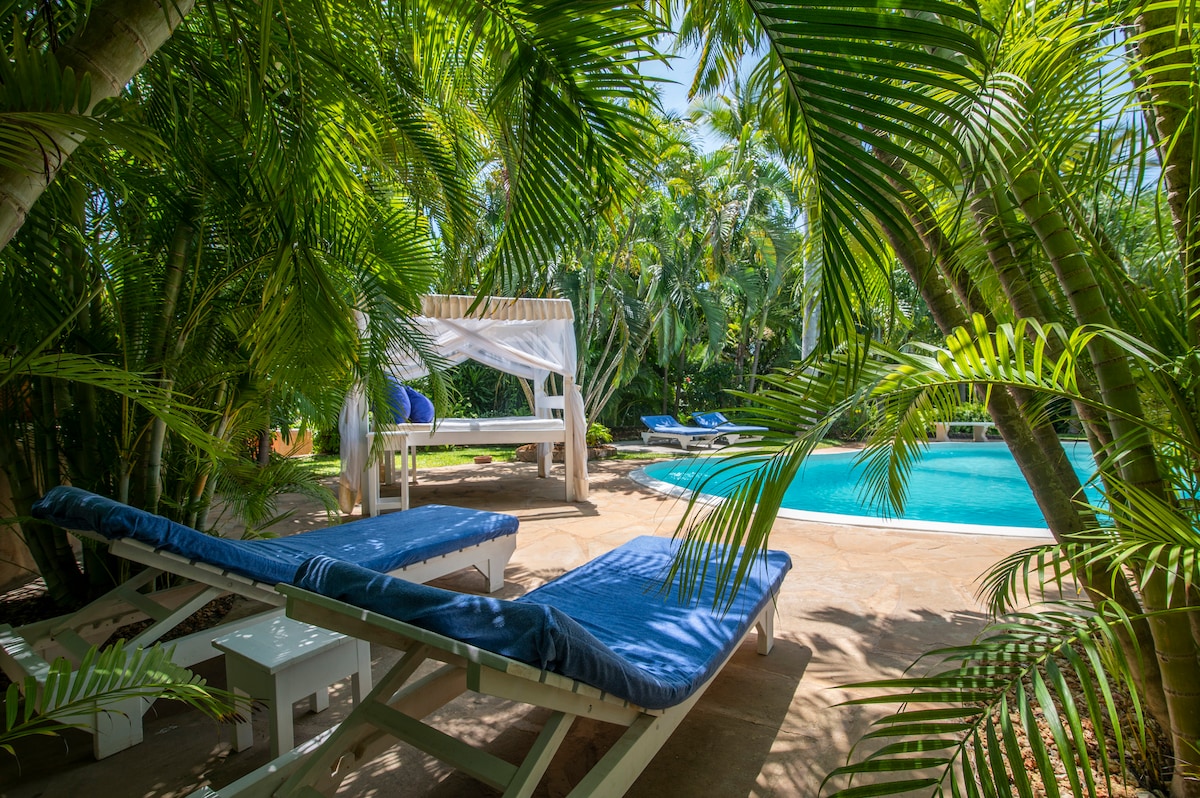 Lounge chairs with blue cushions are arranged around a serene swimming pool, enveloped by lush tropical plants. A shaded area with a draped canopy is visible in the background, creating a tranquil atmosphere for relaxation.