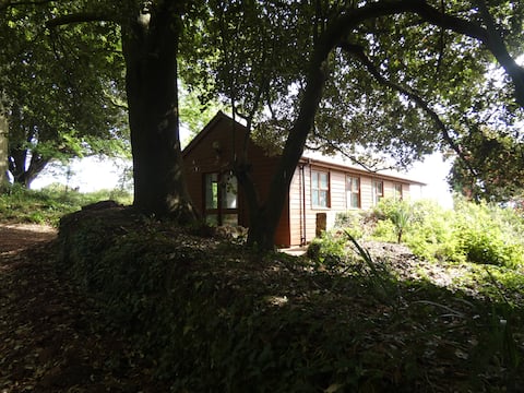 Top performing Airbnb: Beautiful Clifftop Summerhouse in Dawlish