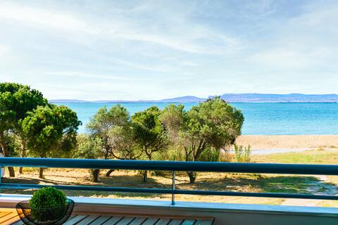 Elegant Beachfront 3bd House