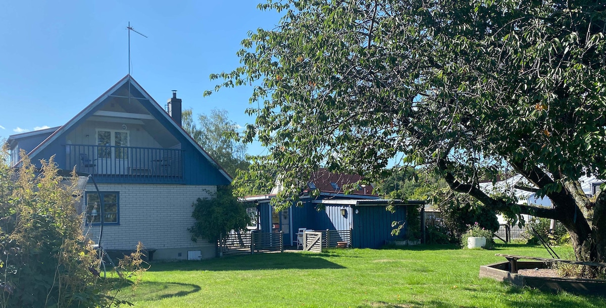 A two-story house is shown with a blue roof and a balcony overlooking a spacious green yard. A large tree stands nearby, enhancing the outdoor area. The exterior features a combination of light and dark siding, alongside a variety of plant life surrounding the house.