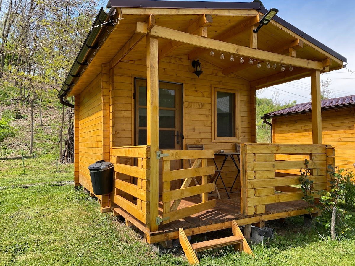 Roești Vacation Rentals & Homes - Vâlcea County, Romania | Airbnb