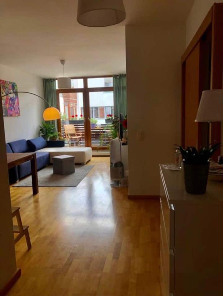 Beautiful apartment in the center of Leipzig Apartments for Rent in