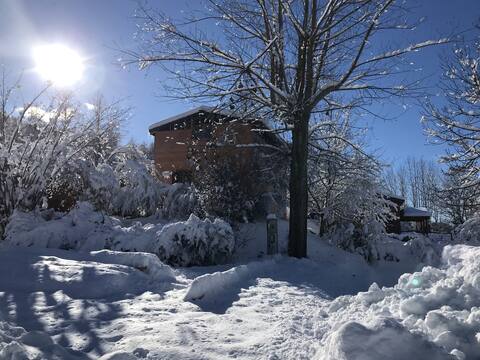 6/8 Pers chalet with garden  on the ski runs