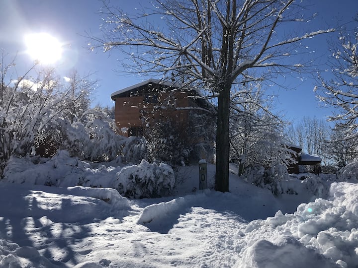 Chalet 6/8 Pers Avec Jardin  Sur Les Pistes De Ski - Saint-Léger-les-Mélèzes