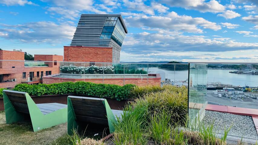 Sjøutsikt rett ved Sentralstasjon/Opera! Parkering gallery image 2