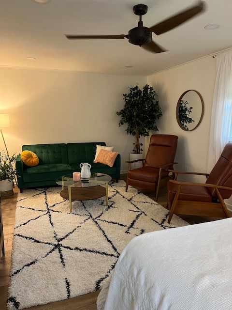 Successful Airbnb property: The Lazy Bear - Beautiful and convenient! in Waco