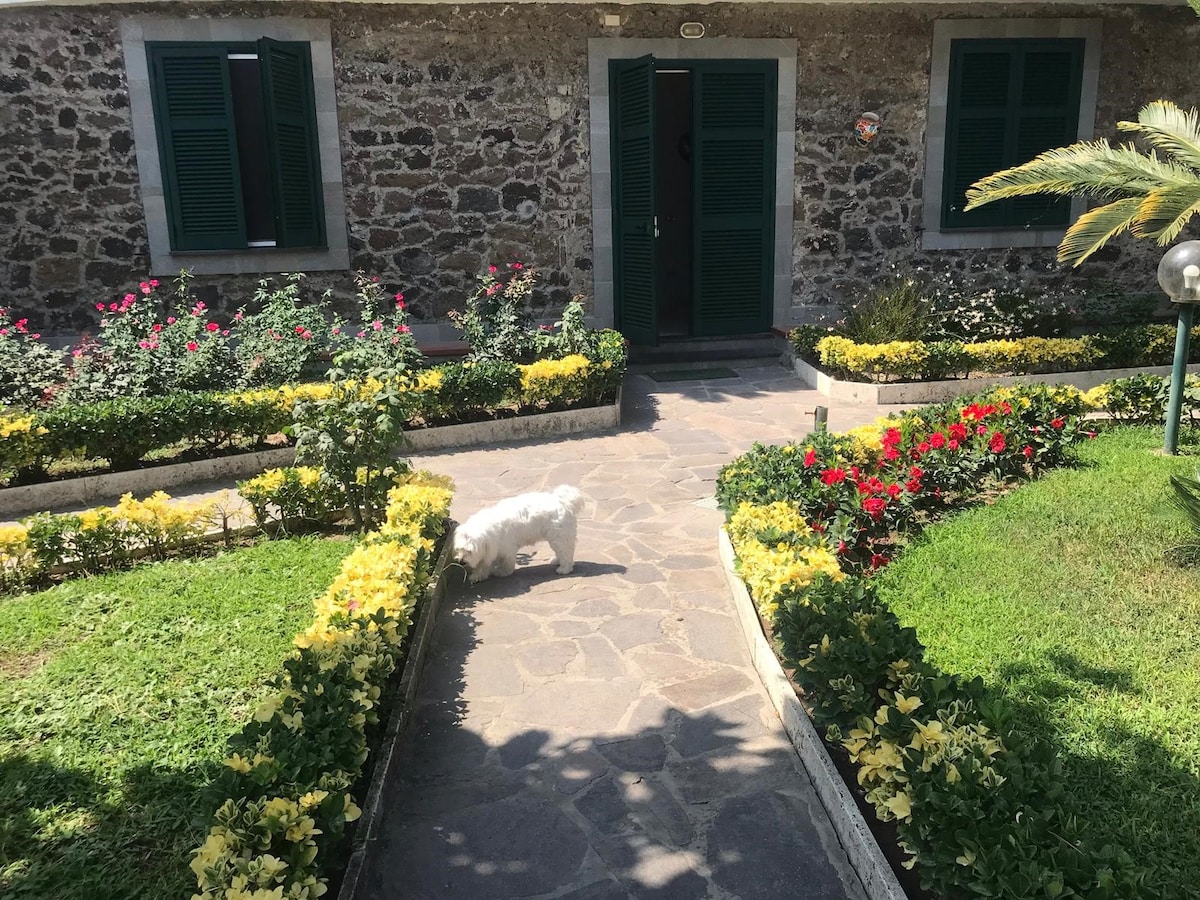 A stone exterior is framed by green shutters and a welcoming doorway. A lined pathway leads through vibrant flower beds filled with yellow and red blooms. A small white dog is seen exploring the garden, adding a sense of warmth to the peaceful surroundings.