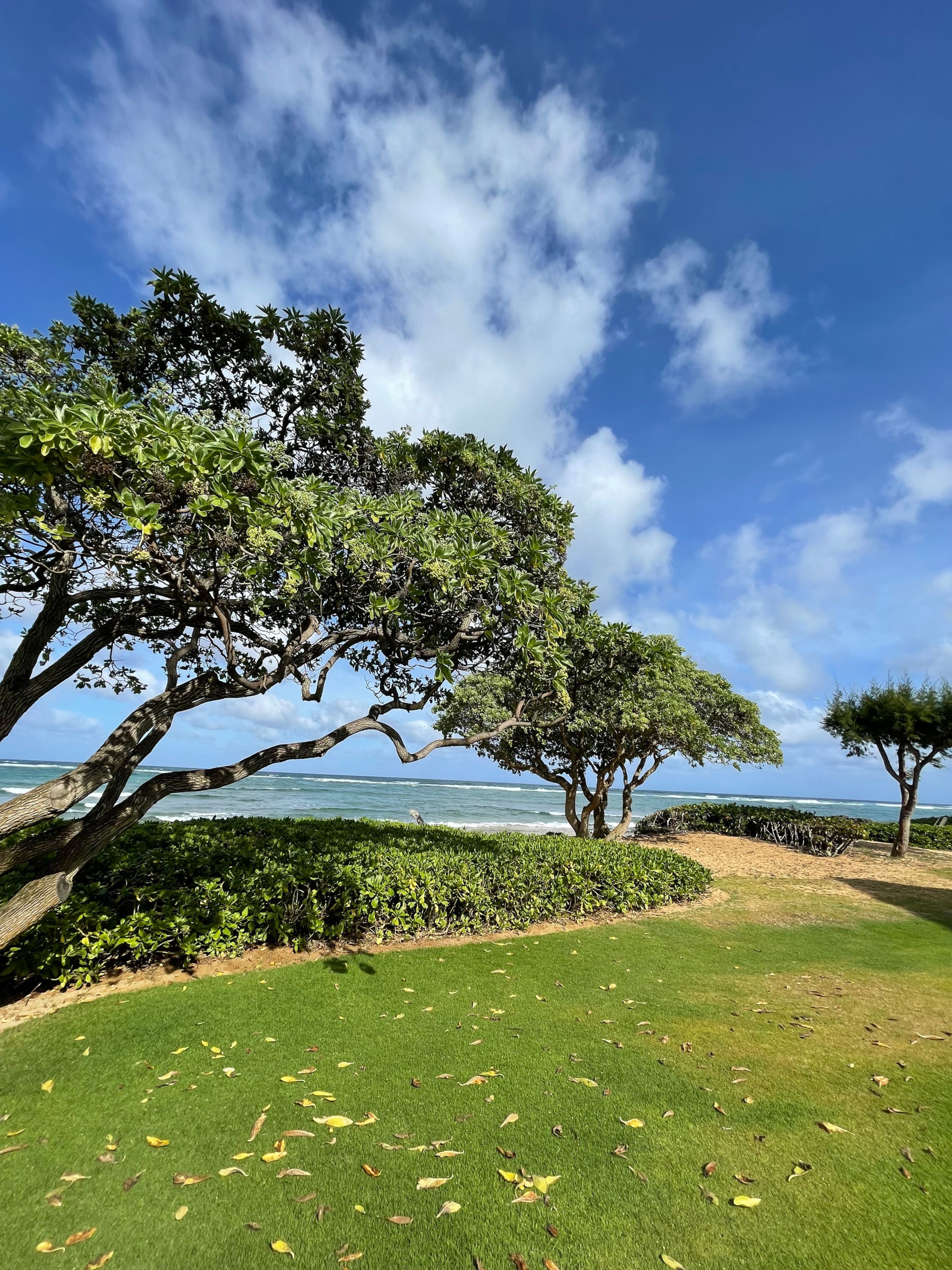 Condo in Kapaa · ★4.67 · 1 bedroom · 1 bed · 1 private bath - Image 18