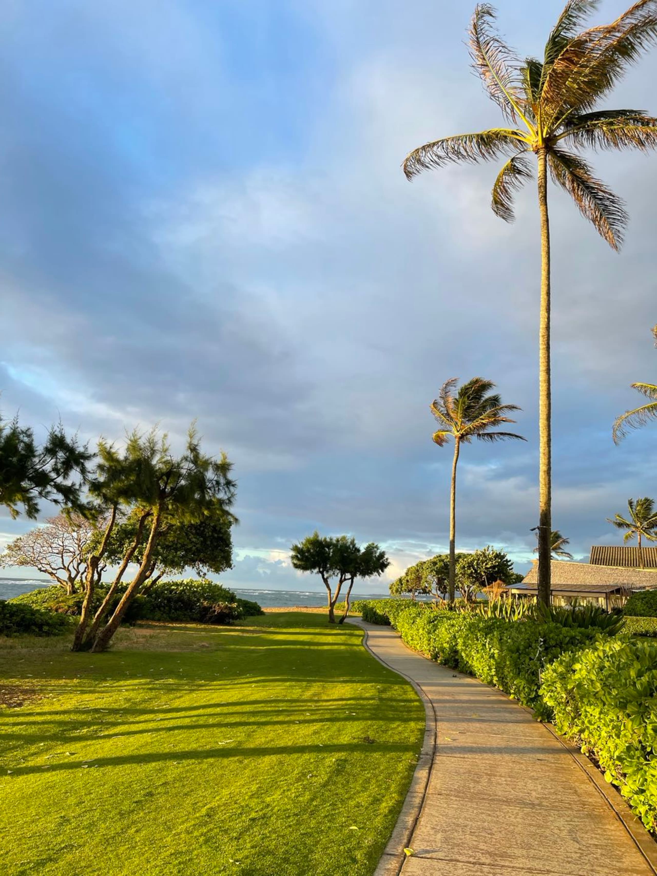 Condo in Kapaa · ★4.67 · 1 bedroom · 1 bed · 1 private bath - Image 17