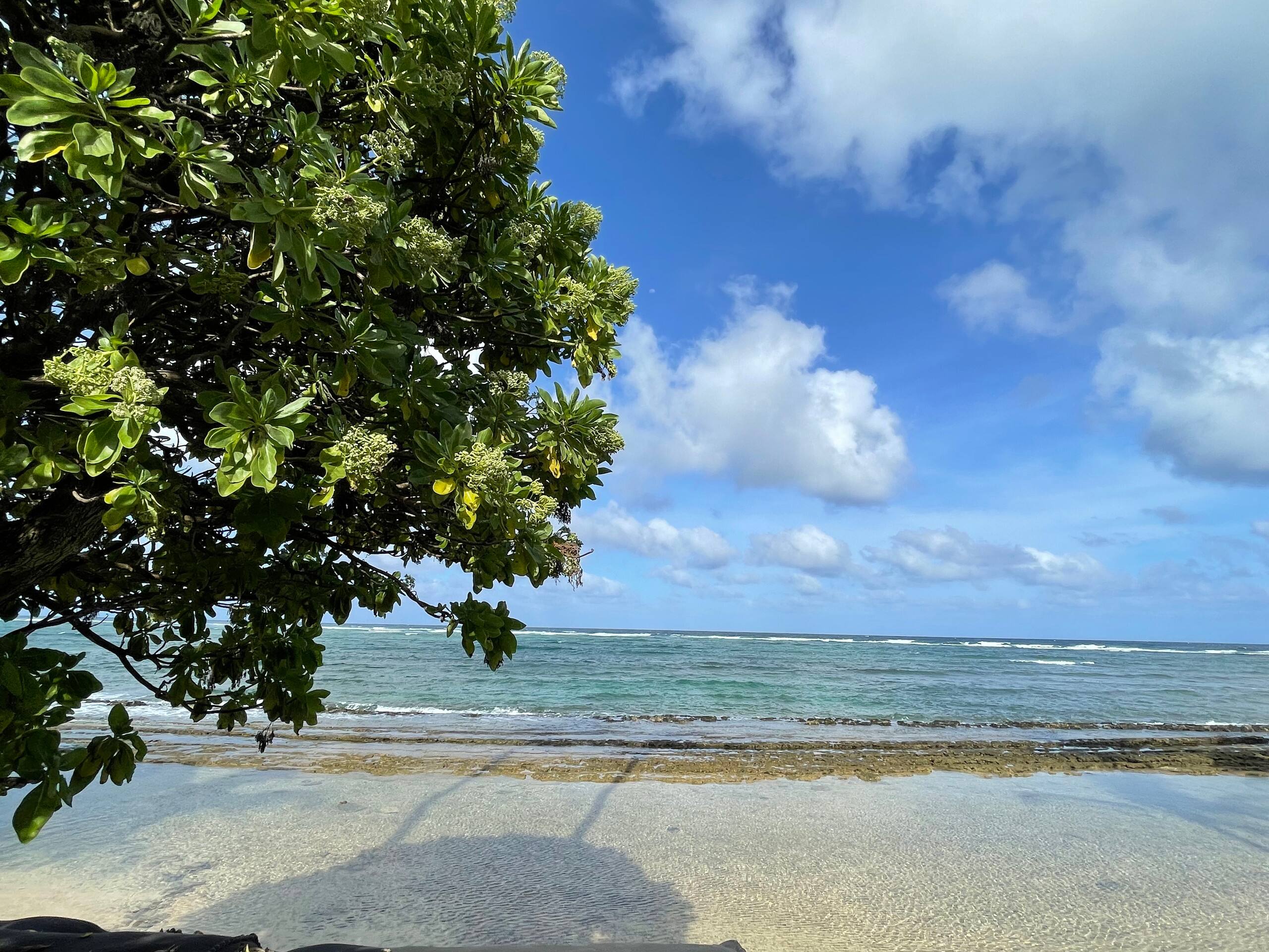 Condo in Kapaa · ★4.67 · 1 bedroom · 1 bed · 1 private bath - Image 6