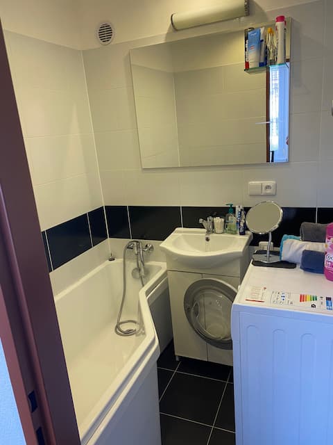 Apartment 2+1 in the center of Znojmo (balcony, 5 beds)