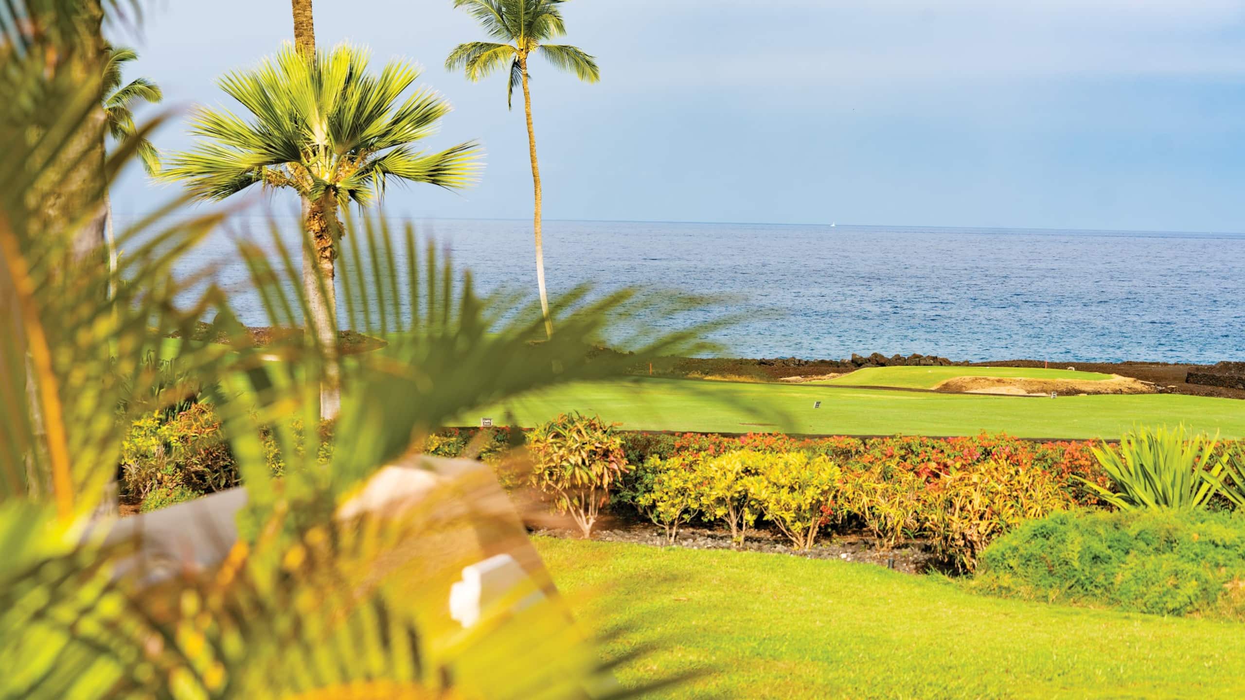 Lovely 2BR Kona Coast Resort -Golf Club by the Sea - Photo 5