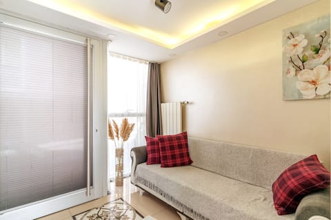 Newly furnished apartment in central neighborhood, near nato