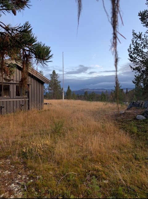 Family-friendly cabin near Langedrag and Bjørneparken