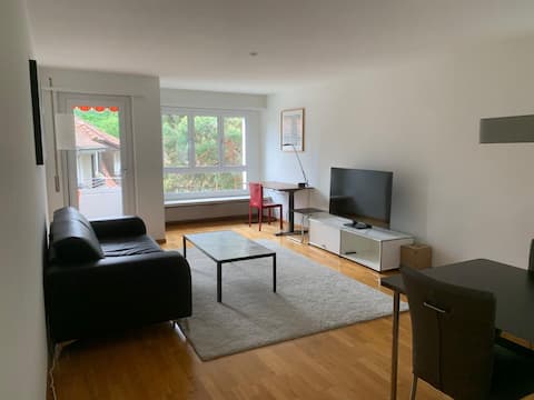 Successful Airbnb property: Fantastic 1BR flat in the city center (Marble1) in Hirslanden