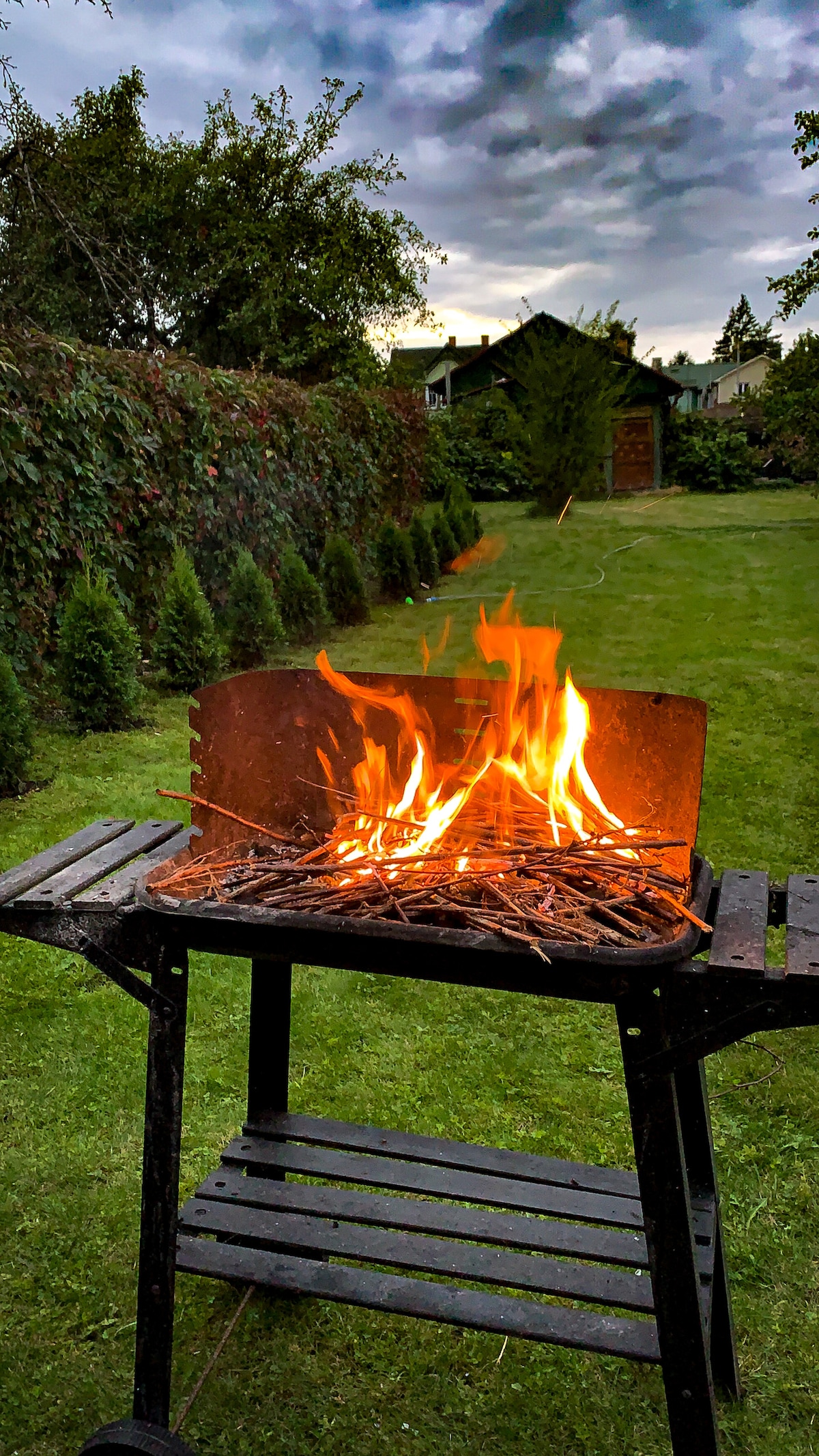 A barbecue grill is positioned on a black metal stand, with flames rising from twigs inside. A lush green lawn is seen behind it, bordered by tall hedges and neatly trimmed trees, creating a serene outdoor setting.