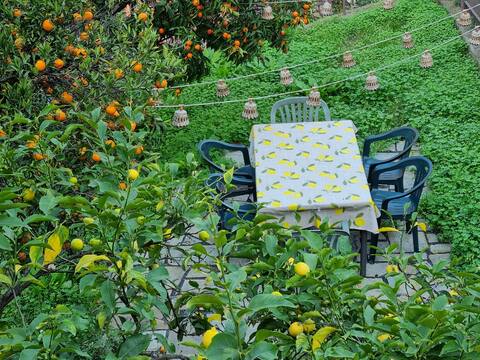 A Ca' de Rosetta: parking-garden-wifi