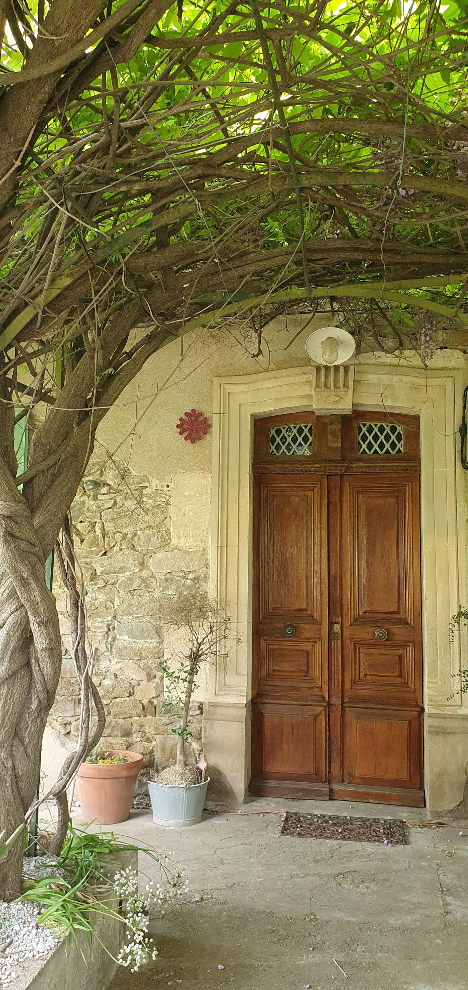 LA MUSCADELLE : le calme du sud de la France — foto 4