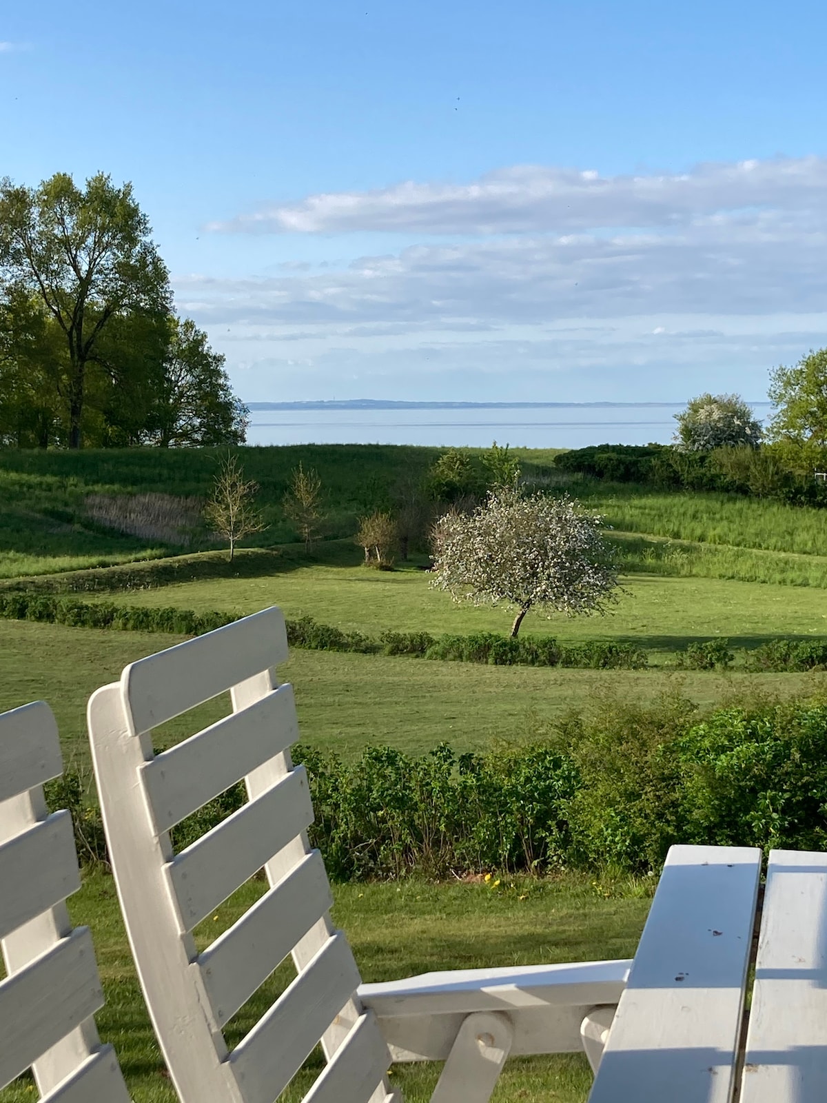 A serene view of the landscape is captured, featuring rolling green hills and a blooming tree. The horizon is visible with a calm body of water beyond, framed by lush greenery under a clear blue sky.