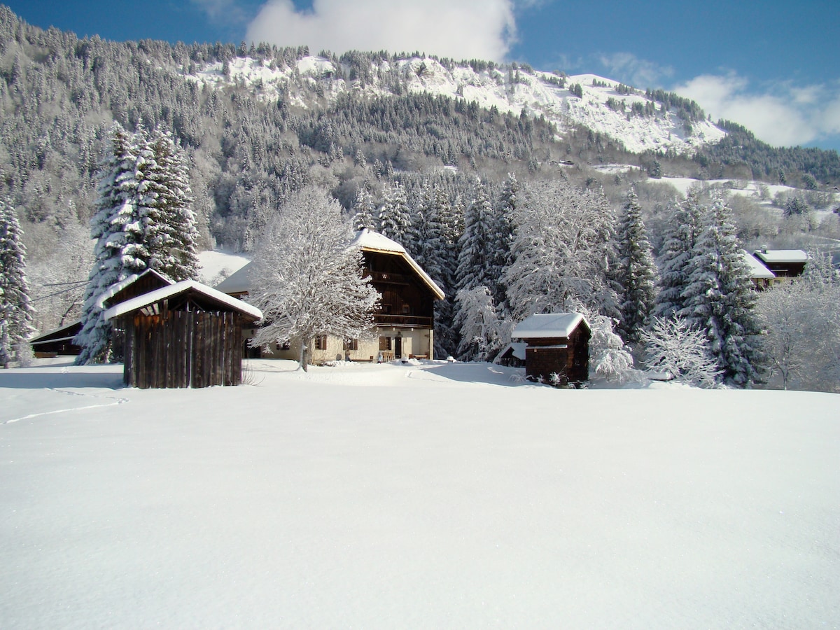 A snow-covered landscape features a large chalet surrounded by snow-draped trees and smaller wooden structures. The mountains rise in the background under a clear blue sky, presenting a serene winter scene.