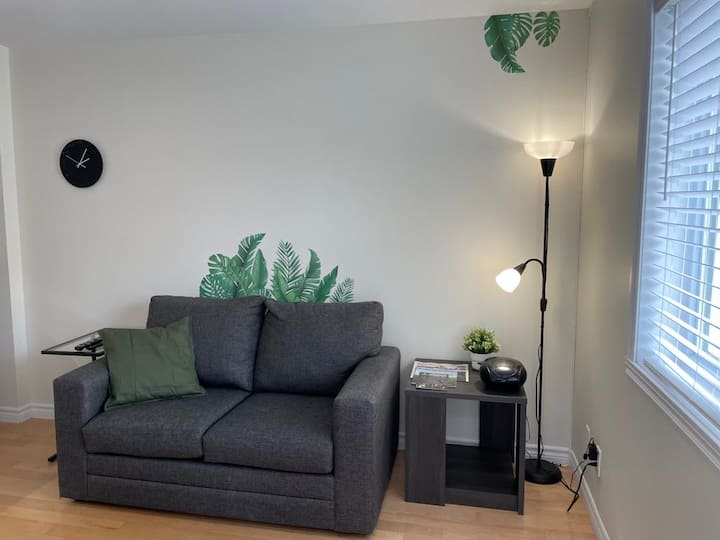Superbe Appartement à Rimouski Avec Stationnement. - Rimouski