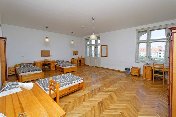 Jiriho z Podebrad V. gallery image 2