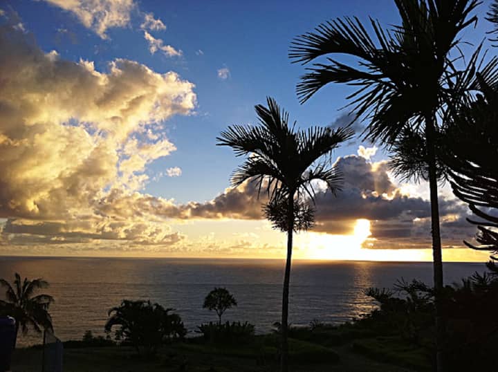 6.5 Acres Oceanfront Estate With 180-degree Views!