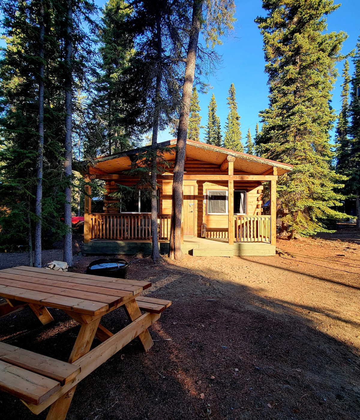 A cabin with a wooden exterior is surrounded by tall trees, emphasizing a natural setting. A spacious deck with a railing offers a welcoming entrance. A picnic table is positioned nearby, providing an outdoor dining option. The ground is covered in soft earth and pine needles.