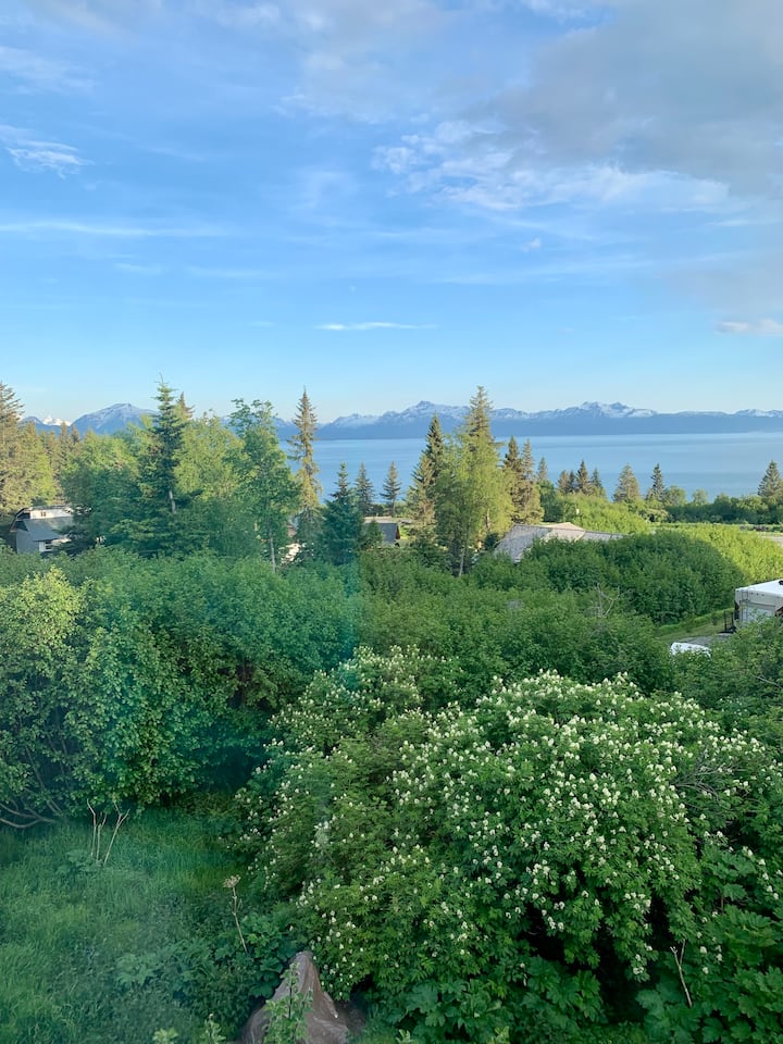 Your Home Away From Home, in Homer, Alaska. Vacation homes for Rent