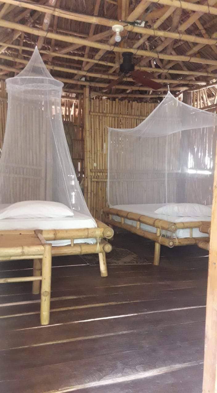 Two beds are positioned within a bamboo-structured room, each featuring a canopy for mosquito protection. The wooden floors are complemented by natural light filtering through the bamboo walls, creating a serene and rustic atmosphere.