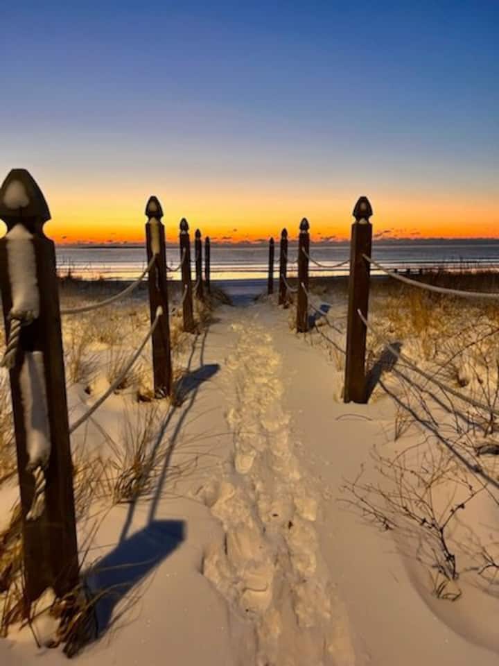 Are Dogs Allowed On Old Orchard Beach