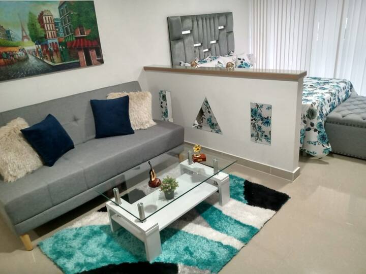 Priestranná garsónka, veľmi priestranná