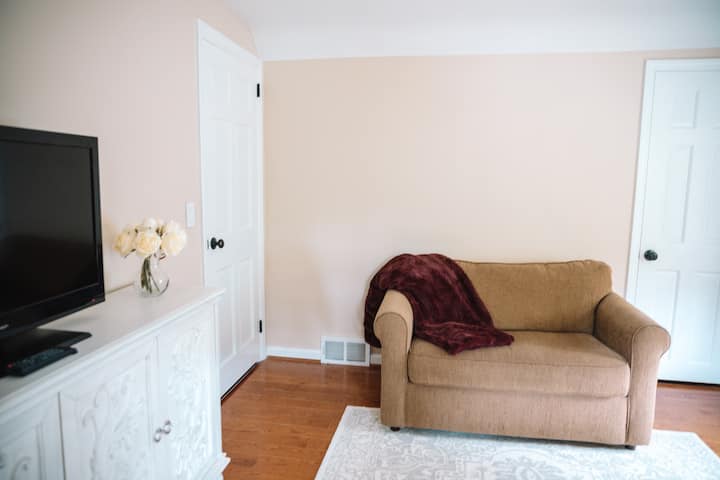 Twin sofa bed in office. 