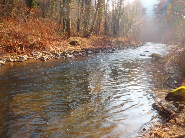 A serene river flows through a wooded area, surrounded by trees with autumn foliage. Sunlight filters through the branches, creating a soft glow on the water's surface. Smooth stones line the riverbank, enhancing the natural landscape.
