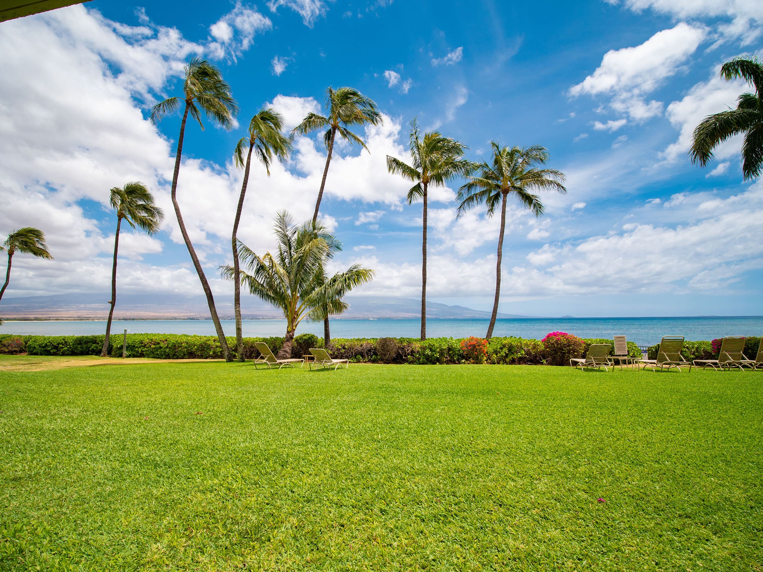 Condo in Wailuku · ★4.91 · 1 bedroom · 1 bed · 1 private bath - Image 24