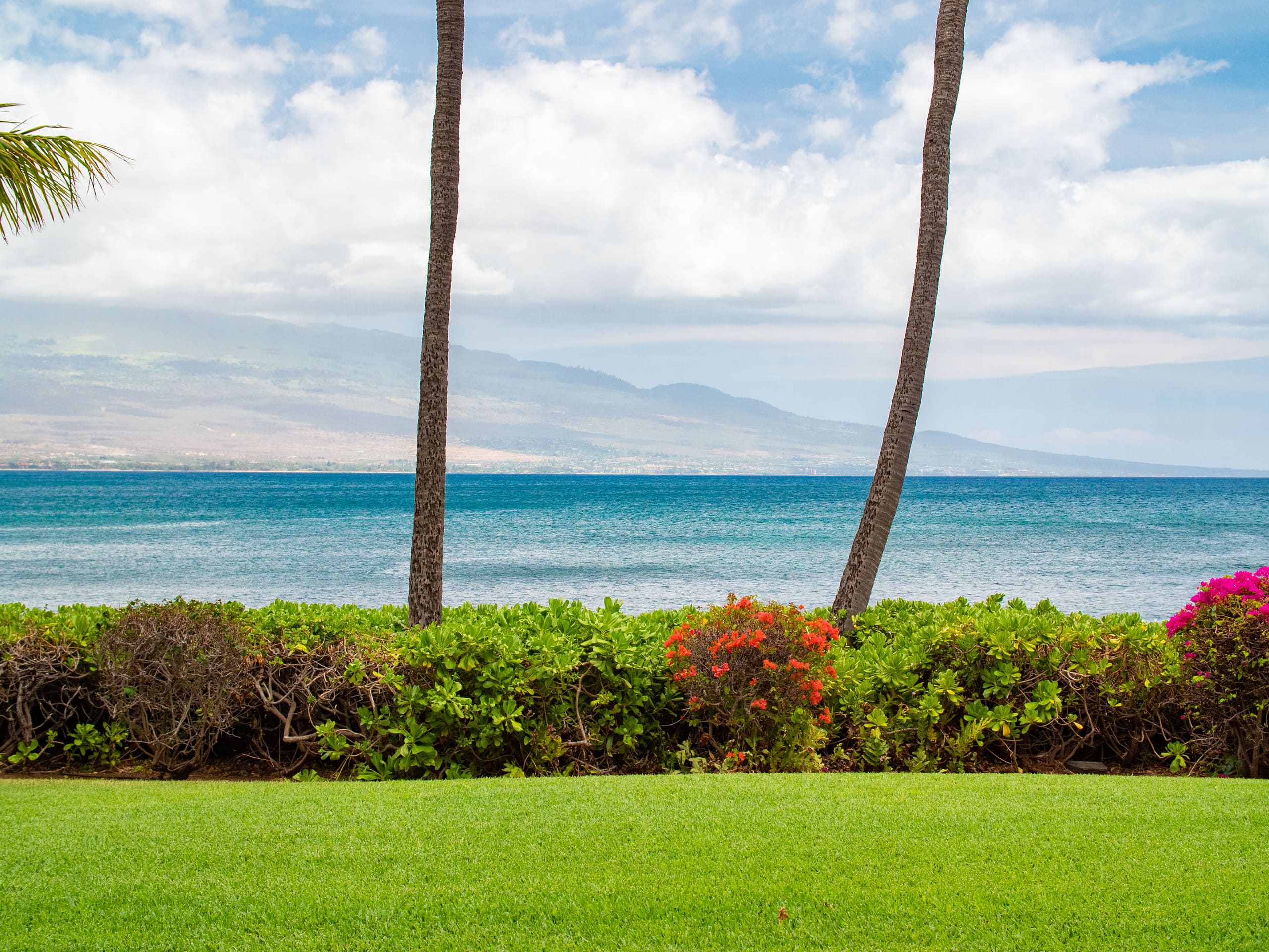 Condo in Wailuku · ★4.91 · 1 bedroom · 1 bed · 1 private bath - Image 17