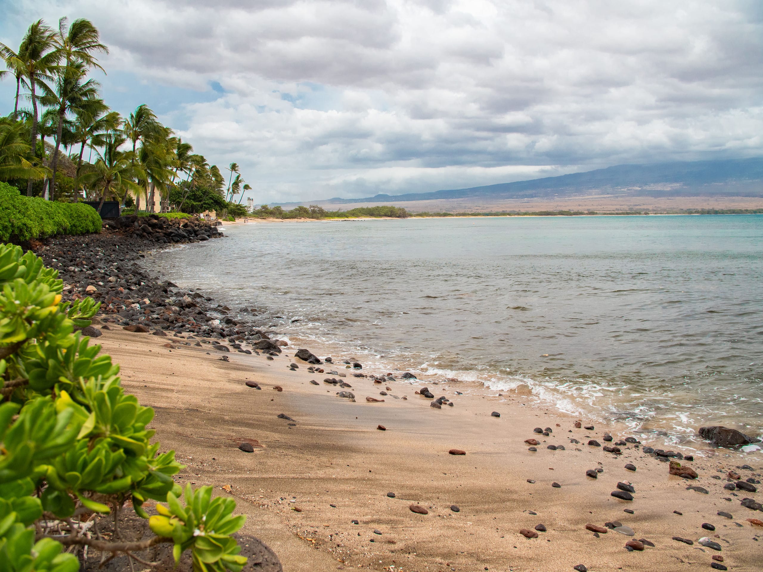 Condo in Wailuku · ★4.91 · 1 bedroom · 1 bed · 1 private bath - Image 34