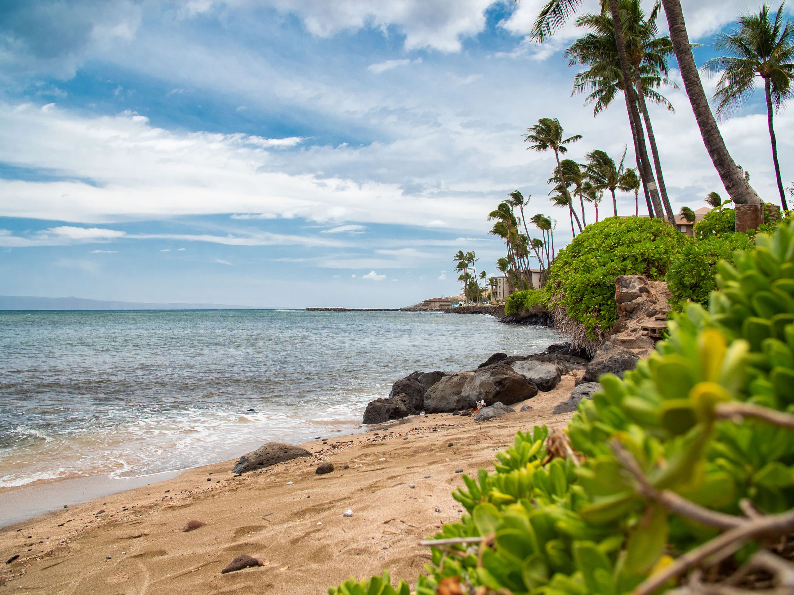 Condo in Wailuku · ★4.91 · 1 bedroom · 1 bed · 1 private bath - Image 33