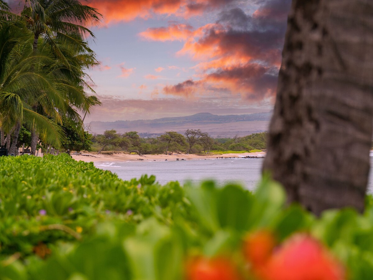 A coastal view captures the soft waves lapping at the shore, framed by lush greenery and palm trees. The sky displays a blend of warm colors at sunset, with clouds reflecting hues of orange and purple, creating a serene natural setting.