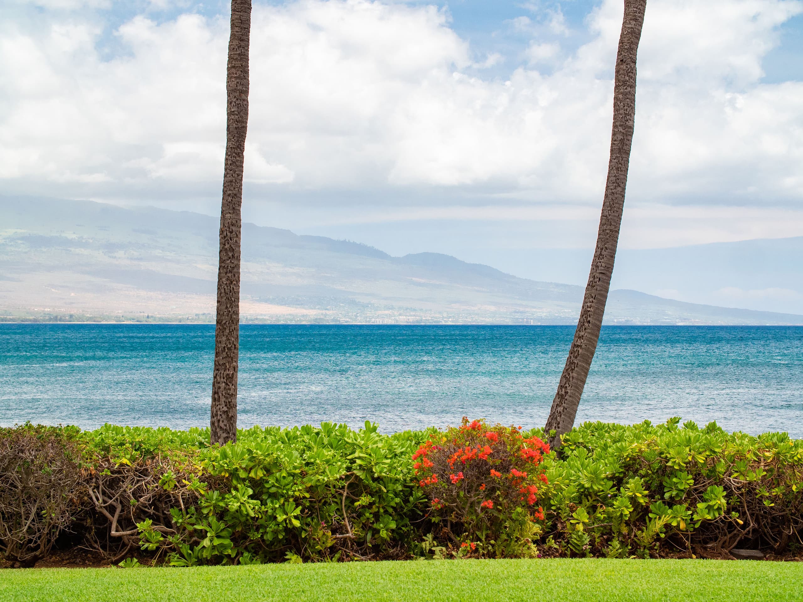Condo in Wailuku · ★4.91 · 1 bedroom · 1 bed · 1 private bath - Image 16