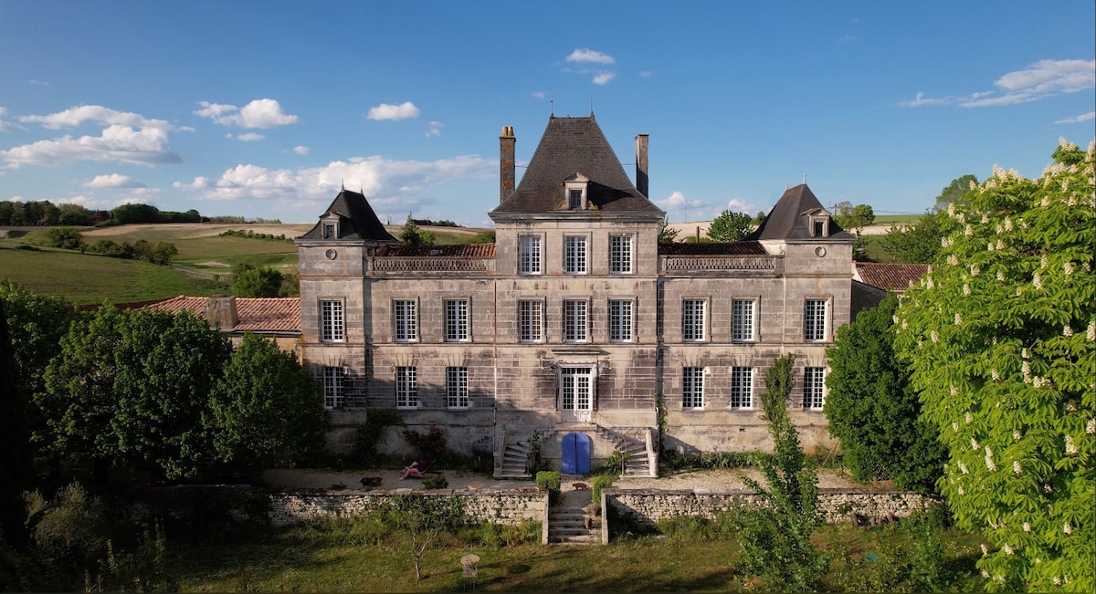 The grand facade of a chateau is captured under a clear blue sky. Stone walls display a mix of traditional architecture with symmetrical windows and pointed roofs. Lush greenery surrounds the property, providing a serene backdrop. Paved pathways lead to the entrance, inviting exploration of the expansive grounds.