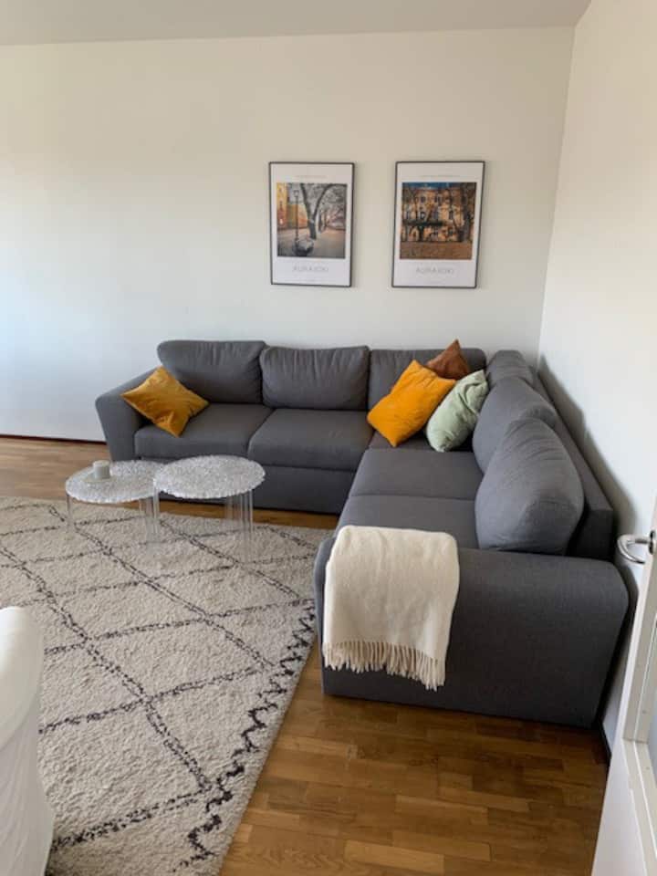 A Cosy Apartment With A Great Wiew To River Aura! - Turku