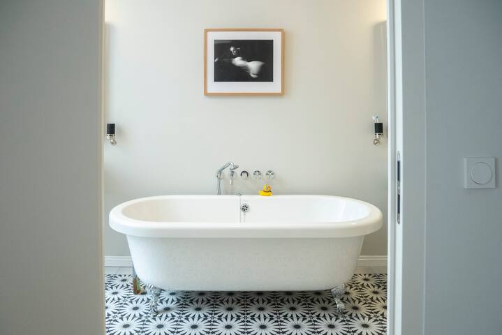 Ringstrasse Beletage with Library gallery image 3